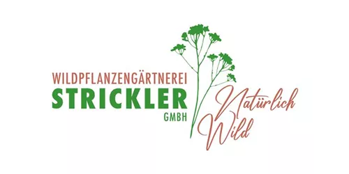 PAK 8.00 Einzelgrab sonnig, trocken-mager PAK 8.00 Einzelgrab sonnig, trocken-mager