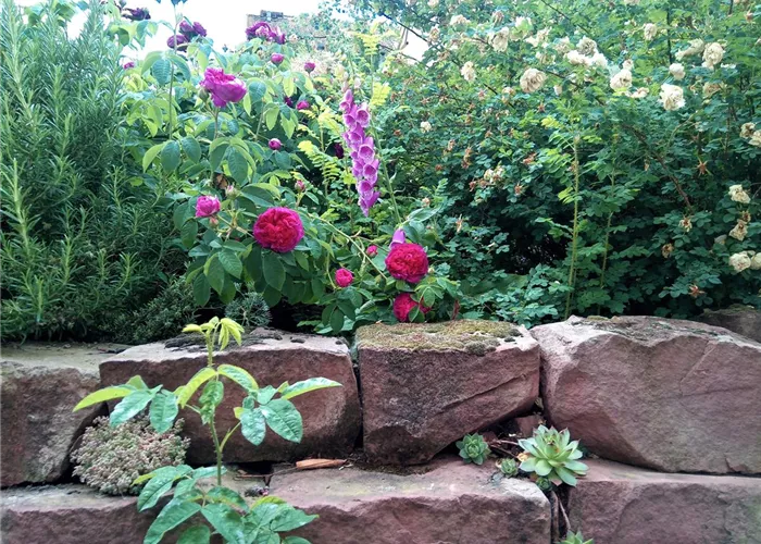 Naturnahe Gartengestaltung Naturnahe Gartengestaltung