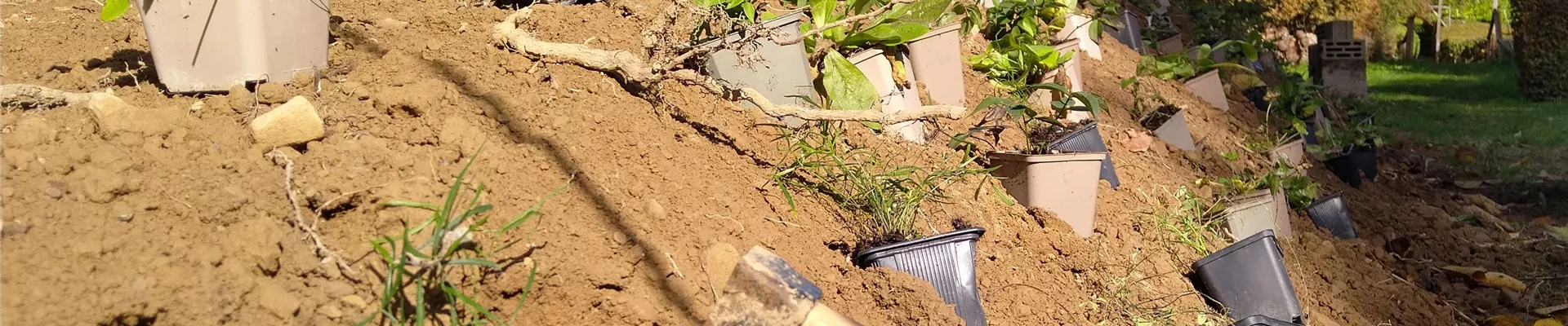 Ausführung Pflanzung-200-0-3024-3024