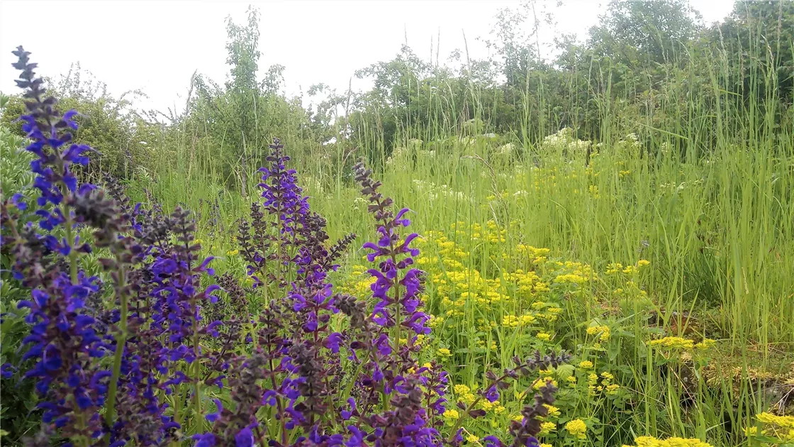 Shop - Gartenbau Strickler