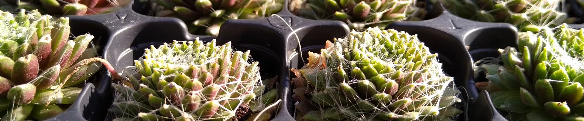 IMG_20221027_153323-674-0-3024-3024 IMG_20221027_153323-674-0-3024-3024