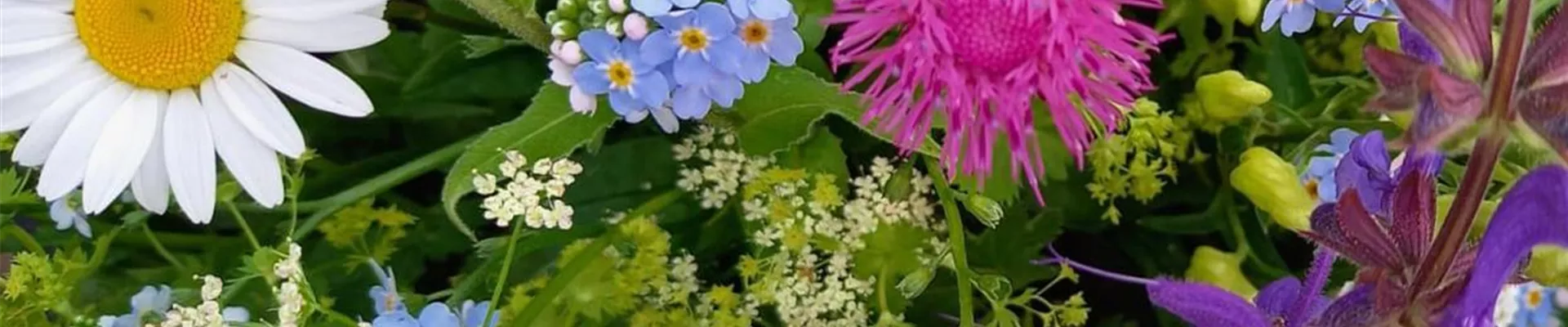 Blütenstrauss-168-0-1243-1243 Blütenstrauss-168-0-1243-1243