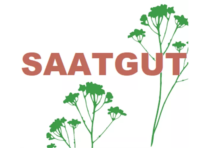 Adonis aestivalis (SA)* Kaltkeimer Adonis aestivalis (SA)* Kaltkeimer