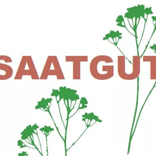 Agrostemma githago (SA 10qm)* Agrostemma githago (SA 10qm)*