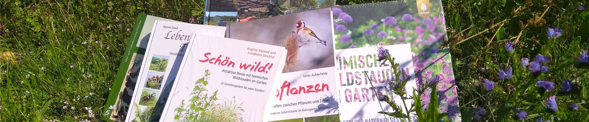 Bücher trapiert (1) für Slider-0-434-4032-2268 Bücher trapiert (1) für Slider-0-434-4032-2268