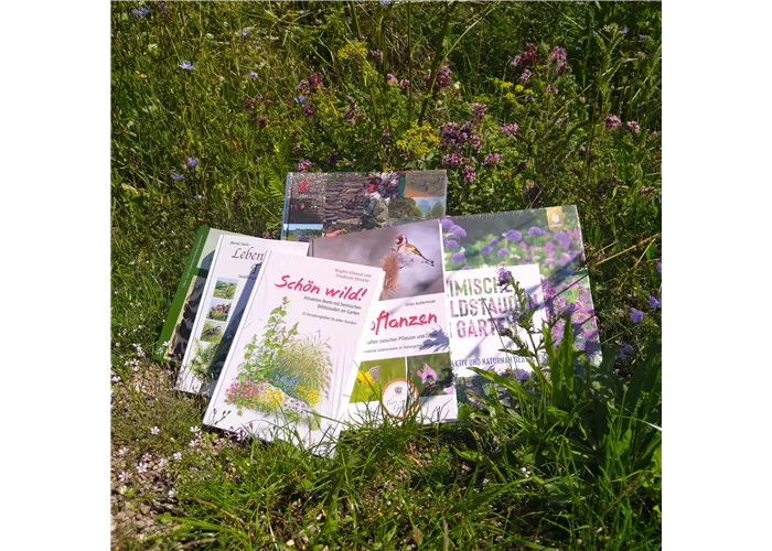 Bücher Bücher