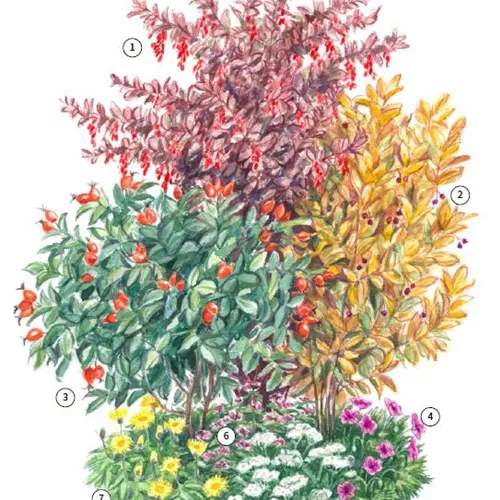 Obst-Trio 2 Kraut und Rüben Obst-Trio 2 Kraut und Rüben