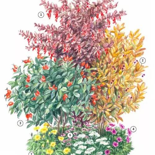 Obst-Trio 2 Kraut und Rüben