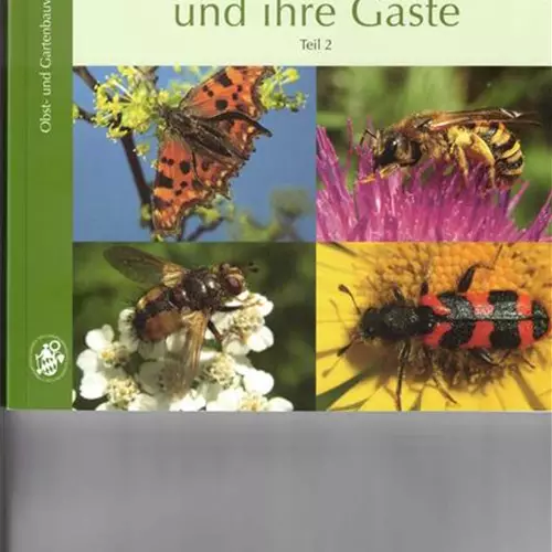 Blütenpflanzen und ihre Gäste, Band 2