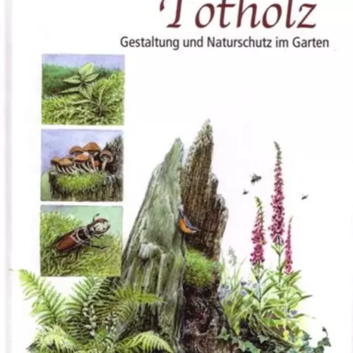 Lebensraum Totholz