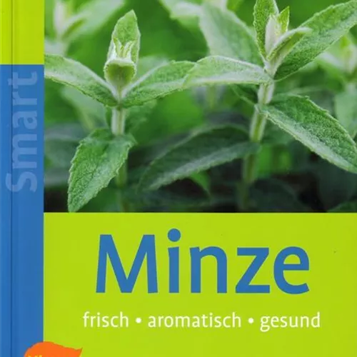 Minze - frisch, aromatisch, gesund